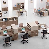 選擇朗哥，我們很放心